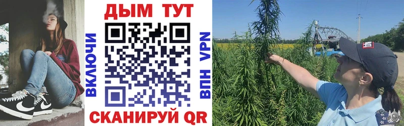 darknet клад  Абаза  Марихуана сатива 